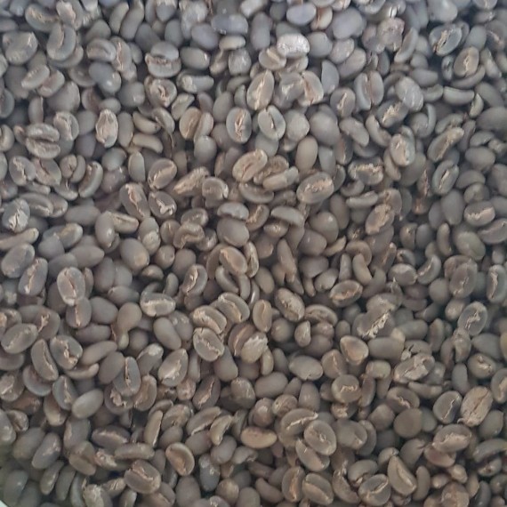 Arabica Sumatera Gayo Coffee Grade 1 Semi washed Process