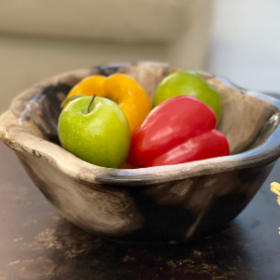 Natural Petrified Wood Bowl - Size S