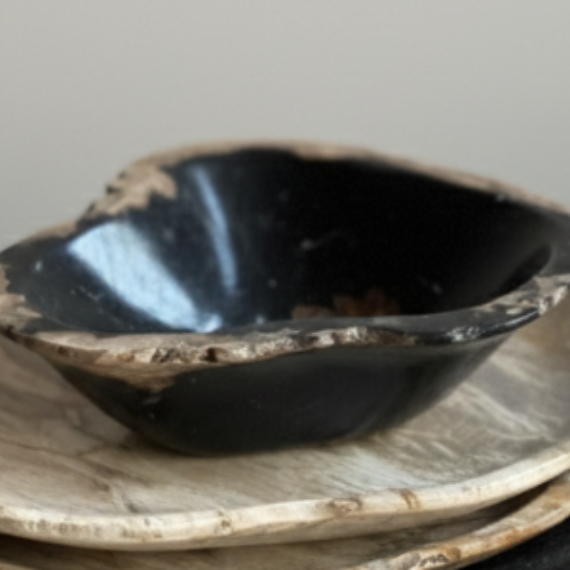 Natural Petrified Wood Bowl - Size S
