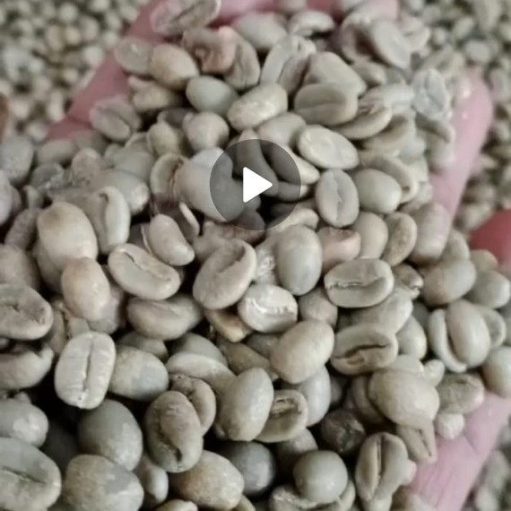 Arabica Toraja Hitman