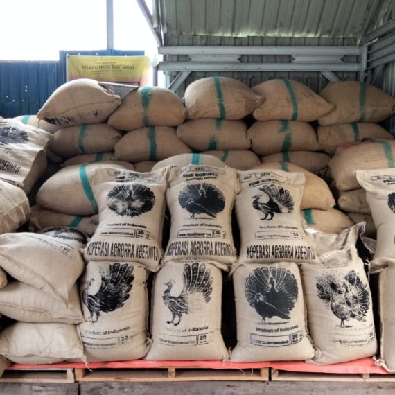 Fine Robusta Kerinci Anaerobic Natural