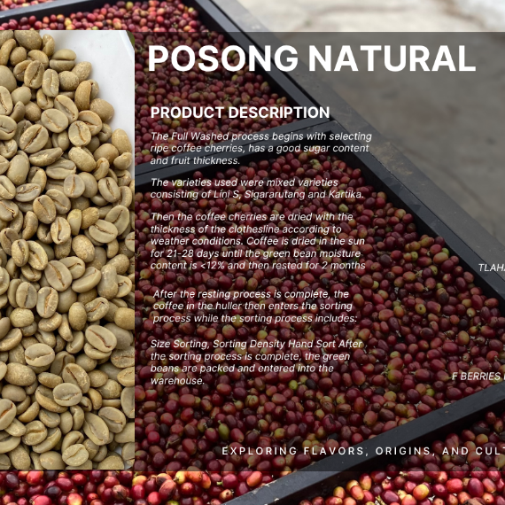 Arabika Natural Specialty