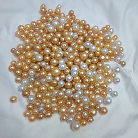 Loose South Sea Pearls