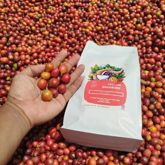 Sehati Kopi Celebes Specialty