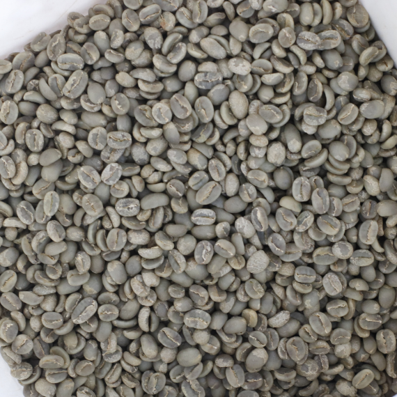 Java Arabica Coffee Green Bean – Grade 1