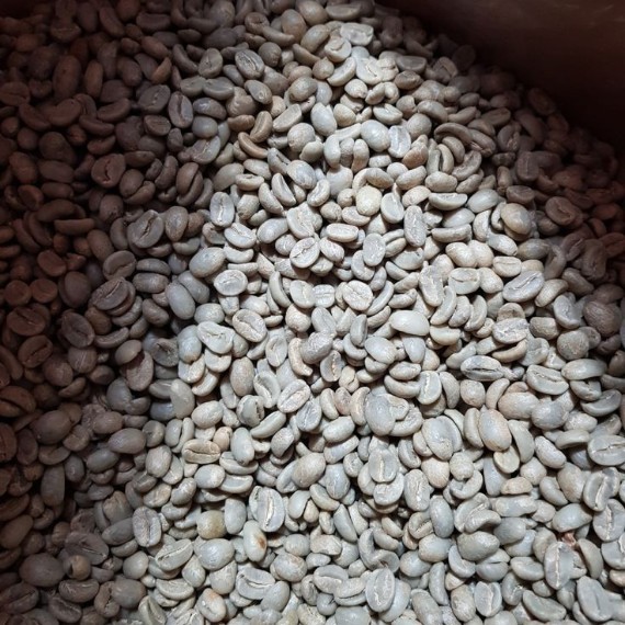 Arabica, Robusta (Roasted Bean & Green Bean)