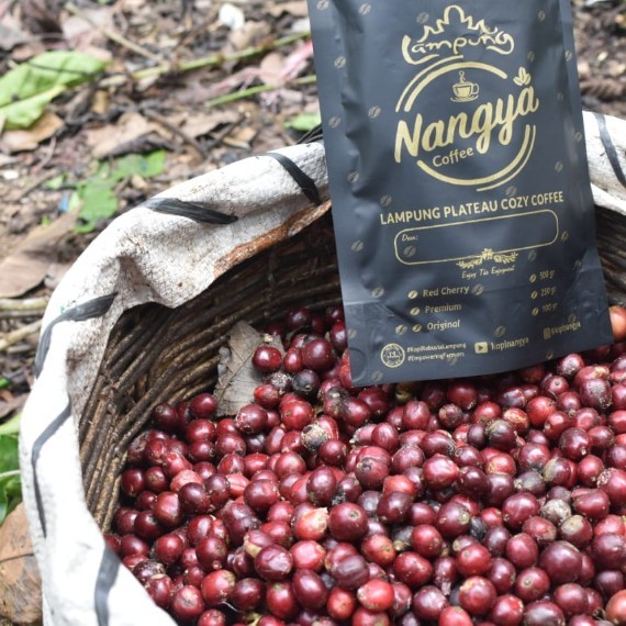 Fine Robusta Lampung