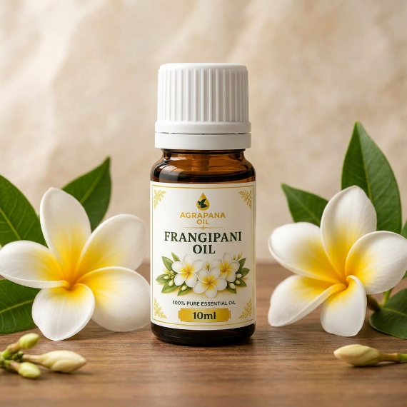 Patchouli Oil | Frangipani Essential Oil