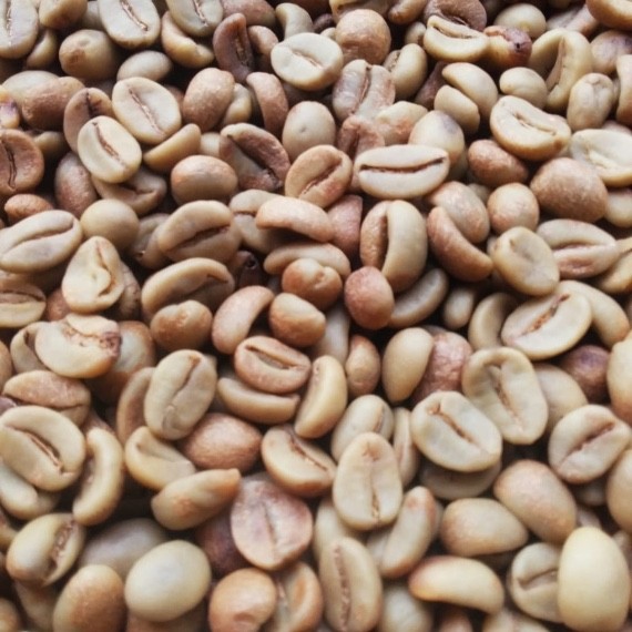 GB Malabar, Roasted Bean Malabar