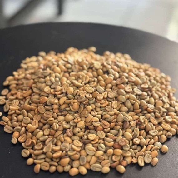 Java Arabica Green Bean