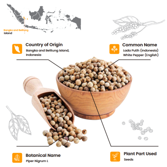 Whole Muntok White Pepper