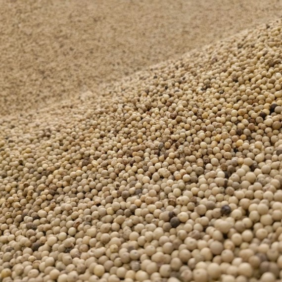 Whole Muntok White Pepper