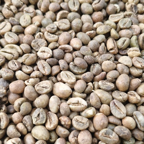 Green Bean Selangis Natural