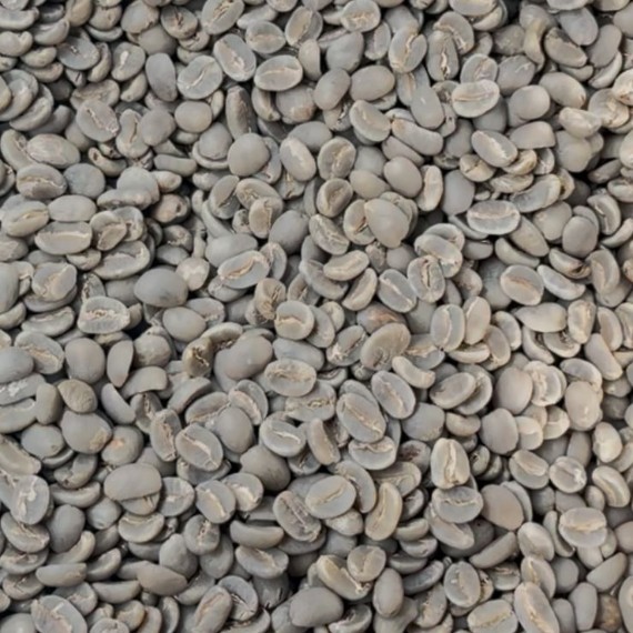 Specialty Arabica Enrekang