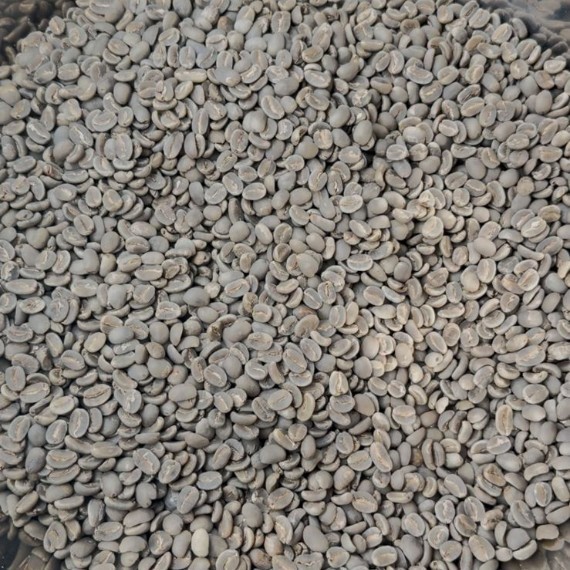 Specialty Arabica Enrekang
