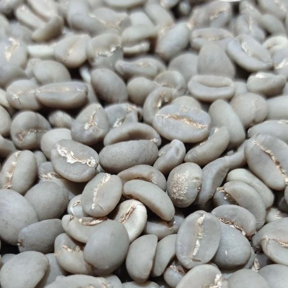 Specialty Arabica Enrekang