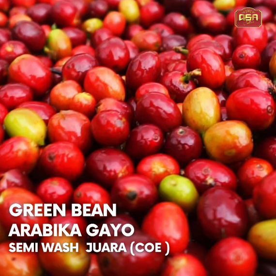 Gayo Arabica Green Bean Semi-Washed – Cup of Excellence Award Winning.