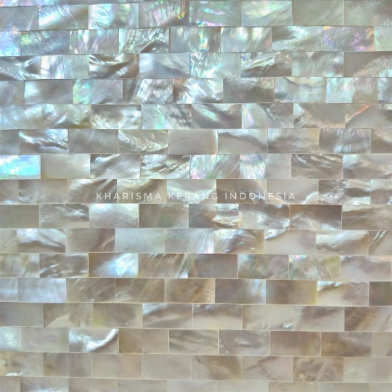 Mother of Pearl Wall Backsplash - White