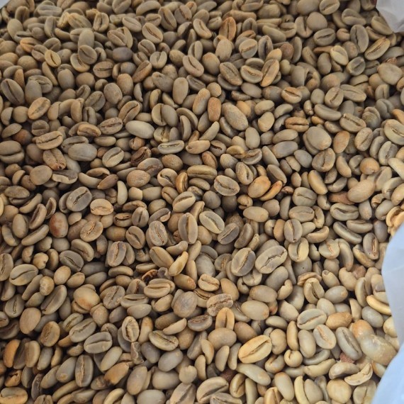 My Coffeeza Indonesia