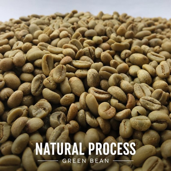 Gayo Arabica Green Coffee-Fullwash Process