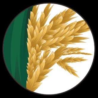 CV Bunga Palm