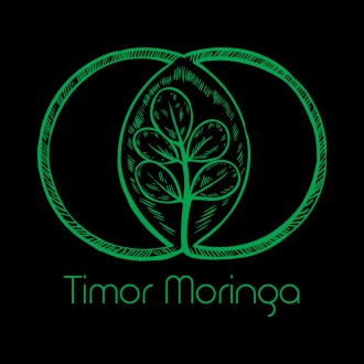 Timor Moringa
